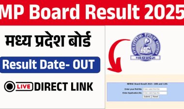 5वी और 8वी बोर्ड का आज 1 बजे जारी होगा परिणाम, लिंक से देखें अपना परिणाम