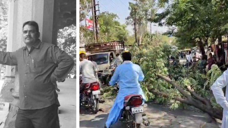 बीते शुक्रवार जेल रोड पर पेड़ की टहनी गिरने से घायल बाइक सवार की हुई मृत्यु, निगम के जिम्मेदार अधिकारियों की लापरवाही बनी मौत का कारण, ऑफिसर कॉलोनी रोड़ सहित ऐसे कई इलाकों में सड़कों पर झूल रही मोटी मोटी टहनियां, कलेक्टर, एडीएम एसपी महोदय खुद यहां से गुजरते लेकिन कर रहे नजर अंदाज