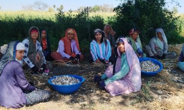 महिलाओं और किसानों की सच्ची हितैषी है कांग्रेस, रश्मि सिंह ने ग्राम पलसोड़ा में महिलाओं के साथ मनाई रंगपंचमी और महिला दिवस