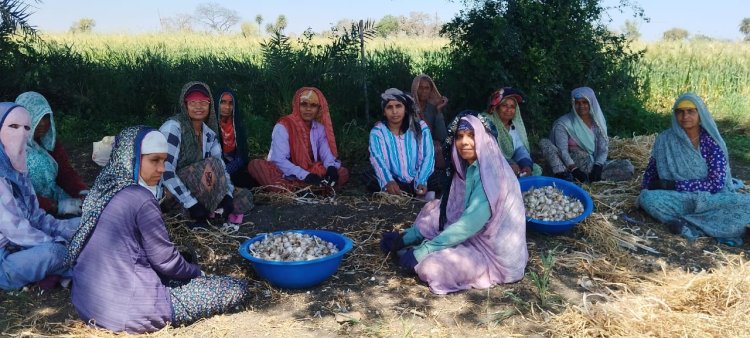 महिलाओं और किसानों की सच्ची हितैषी है कांग्रेस, रश्मि सिंह ने ग्राम पलसोड़ा में महिलाओं के साथ मनाई रंगपंचमी और महिला दिवस