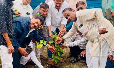 सावन सोमवार और नागपंचमी के अवसर पर डीपी ग्रुप ने किया पौधारोपण, स्वच्छ पर्यावरण और धरती की रक्षा के लिए वृक्षारोपण आवश्यक: पूर्व शहर कांग्रेस अध्यक्ष महेंद्र कटारिया